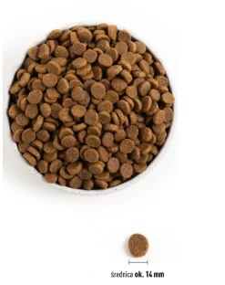 ACANA Light & Fit Dog 11.4 kg