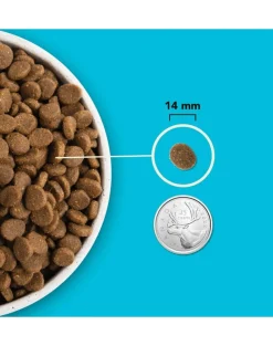 ACANA Pacifica Dog 11,4kg