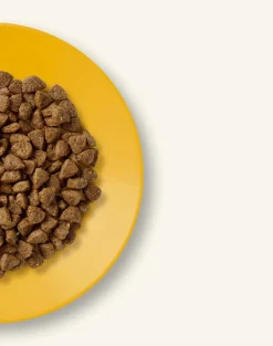 APPLAWS Cat Kitten Chicken 2,4 kg (6x400g) cibo secco per gattini con pollo