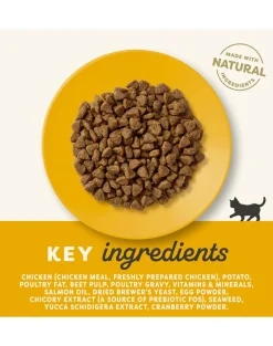 APPLAWS Kitten alimento senza cereali con pollo per gattini 7.5kg
