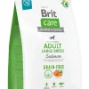 BRIT BRIT CARE Dog Grain-Free Adult large breed salmon con salmone per cani adulti di razza grande 3 kg