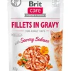 BRIT Care Cat Fillets in gravy savory salmon 85 g filetti di salmone in salsa