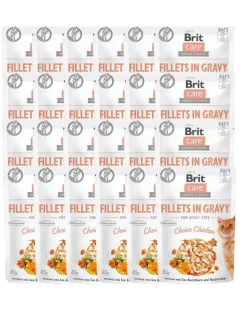 BRIT Care Filetti in salsa Pollo 24 x 85g