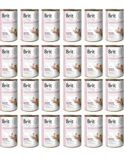 BRIT Veterinary Diet Hypoallergenic Salmon&Pea 24x400g