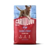 CARNILOVE Active Dog Salmon and Turkey Adult 4 kg salmone e tacchino, per cani adulti