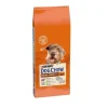 DOG CHOW Mature Adult Lamb 14kg - cibo secco