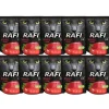 DOLINA NOTECI Rafi Cat con manzo 10 x 300g