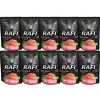 DOLINA NOTECI Rafi Cat con salmone 10 x 300g