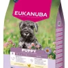 EUKANUBA Puppy Small Breeds Chicken 7,5 kg cibo secco per cuccioli di piccole razze ricco di pollo fresco