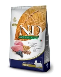 FARMINA N&D Ancestral Grain Dog Adult Mini Agnello & Mirtillo 2,5 kg alimento per cani di piccola taglia + FARMINA N&D Quinoa Dental Treat Fresh Breath Mini 60 g (7 pezzi) GRATIS!