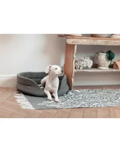 FERA Letto ovale per cani 61x51x16 cm grigio