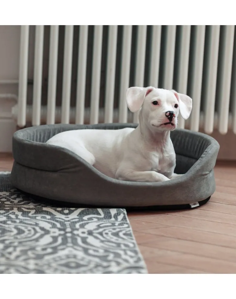 FERA Letto per cani ovale con cuscino 53x44x16 cm grigio