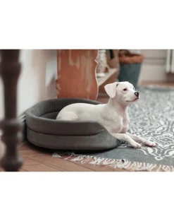 FERA Letto per cani ovale con cuscino 53x44x16 cm grigio