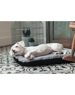 FERA Sky Ponton letto per cani XL 116 x 83 cm