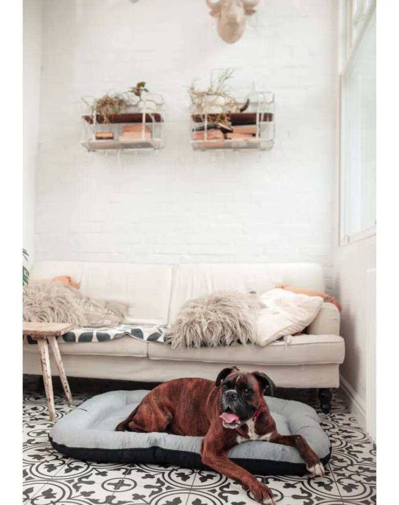 FERA Sky Ponton letto per cani M 88 x 62 cm