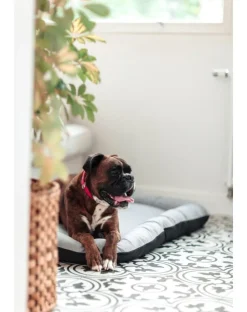 FERA Sky Ponton letto per cani M 88 x 62 cm