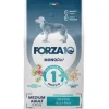 FORZA10 Medium Diet al Pesce 12kg