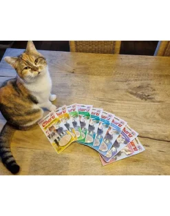 INABA Churu Cat bocconcino cremoso al pollo e formaggio per gatti 56 g
