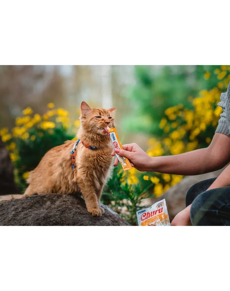 INABA Churu Cat Crema di pollo per gatti 56 g