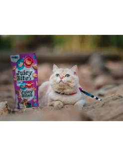 INABA Juicy Bites crocchette umide di capesante e granchio per gatti 33,9 g (3x11,3 g)