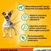 PEDIGREE Adult Selezione di sapori 4x100g cibo umido per cani adulti pezzi in gelatina ricchi di manzo e fegato e pezzi ricchi di pollame