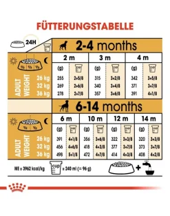ROYAL CANIN Boxer Puppy Junior 24kg (2x12kg)