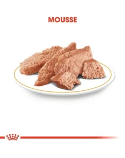 ROYAL CANIN Breed Mini Yorkshire 24 x 85 g