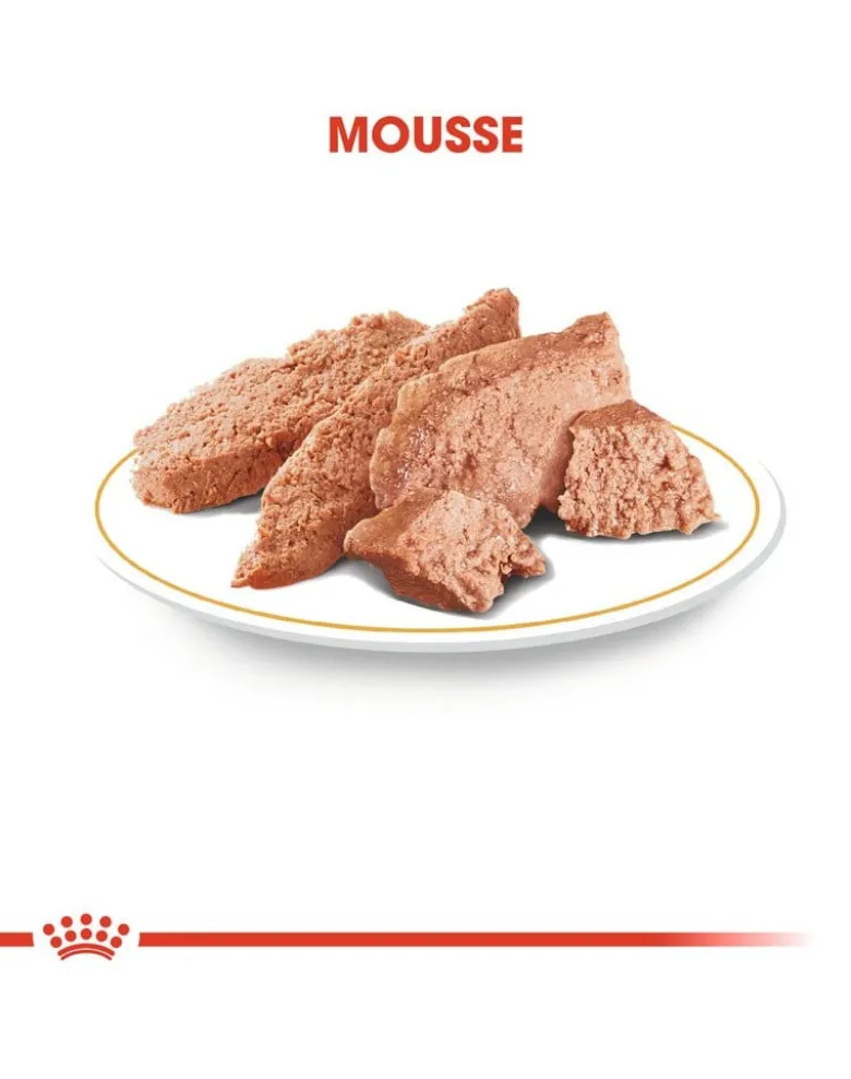 ROYAL CANIN Breed Mini Yorkshire 24 x 85 g