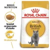 ROYAL CANIN British shorthair 34 10 kg