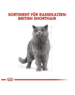 ROYAL CANIN British shorthair 34 10 kg
