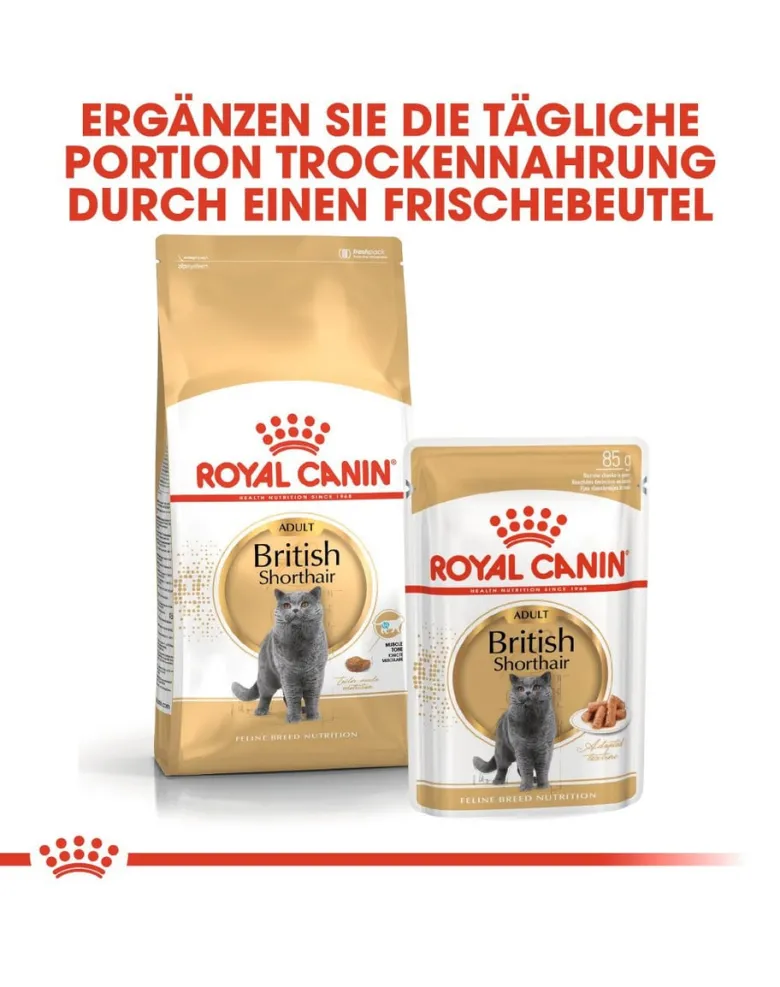ROYAL CANIN British shorthair 34 10 kg