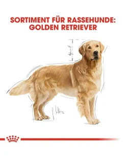 ROYAL CANIN Golden retriever adult 12 kg