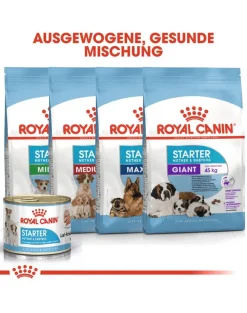 ROYAL CANIN Mini starter mother & babydog 1 kg