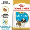 ROYAL CANIN Shih Tzu junior 1.5 kg