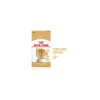 ROYAL CANIN Yorkshire Terrier Adult 8+ 1,5 kg