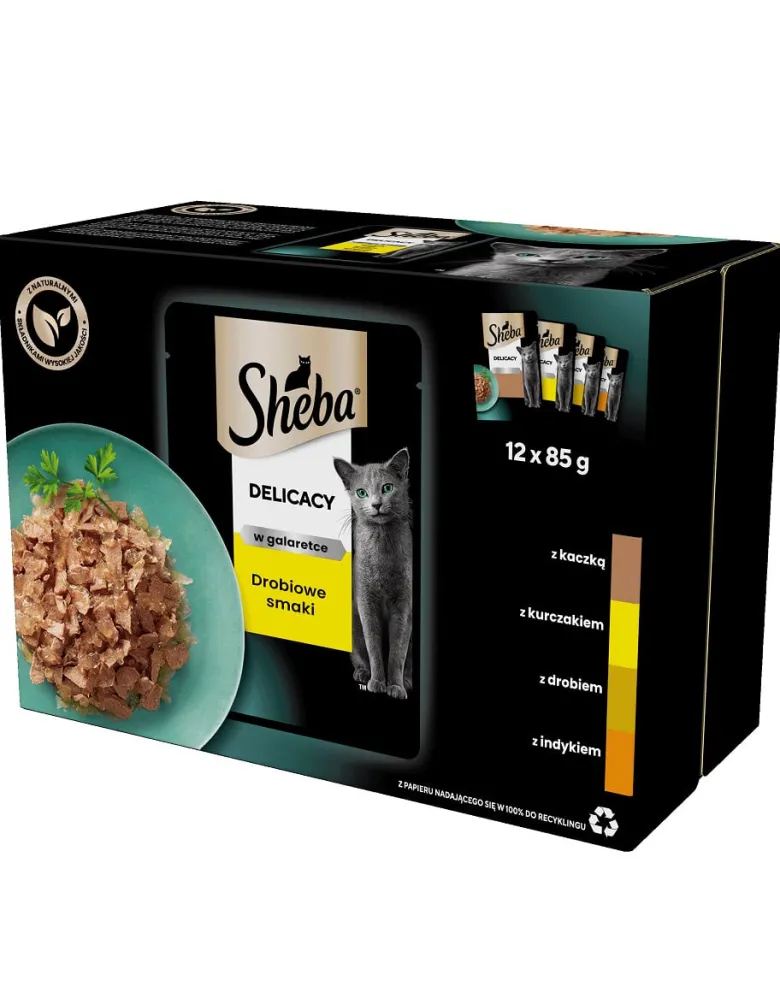 SHEBA Delicacy in Jelly in bustina 48x85g cibo umido completo per gatti adulti, bocconcini in gelatina con: anatra, pollo, pollame, tacchino