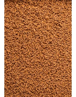 TETRA Pond Colour Sticks 10l Mangime completo per pesci da laghetto dai colori brillanti
