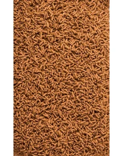 TETRA Pond KOI Sticks 10l Mangime completo per carpe koi