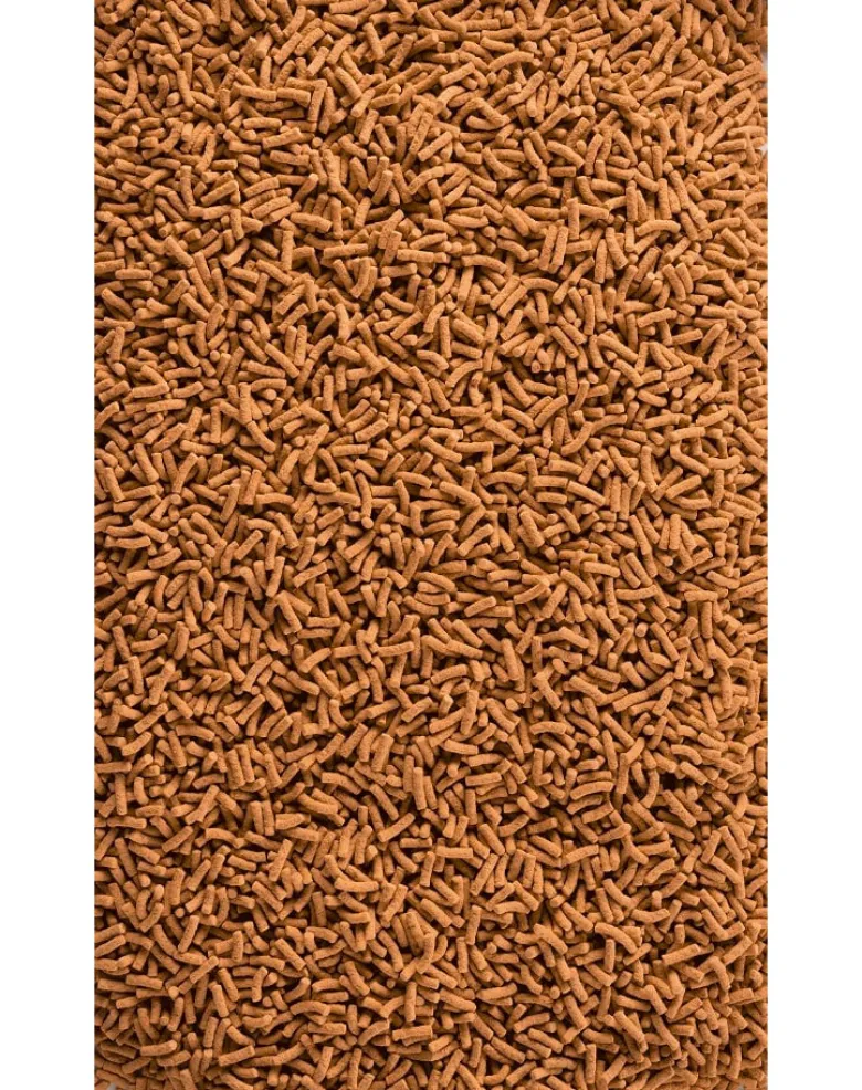 TETRA Pond KOI Sticks 10l Mangime completo per carpe koi