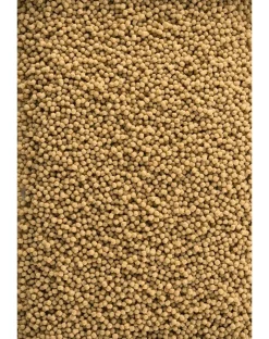 TETRA Pond Pellets 4l Mangime di base per pesci da laghetto sotto forma di pellet