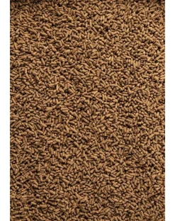 TETRA Pond Wheatgerm Sticks 1l Mangime completo per tutti i pesci da laghetto
