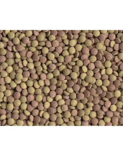 TETRA Tablets TabiMin 1040 Capsule