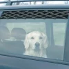 TRIXIE Griglia per auto, grande