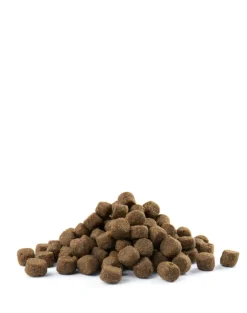 VERSELE-LAGA Adult Skin Care Medium & Maxi - Alimento per adulti per cani di taglia media e grande con pelle sensibile 12,5 kg
