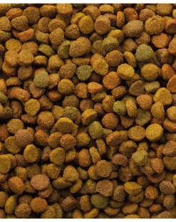 VERSELE-LAGA Classic Cat Variety 4kg