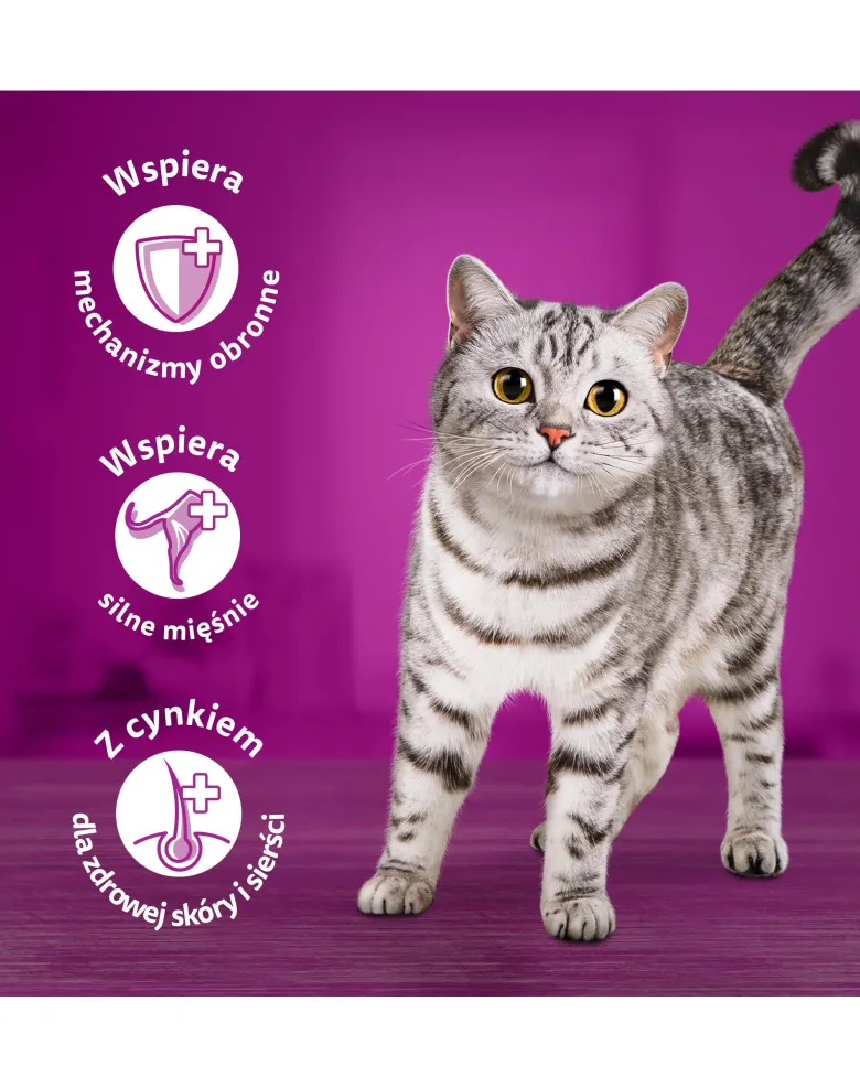 WHISKAS Adult in bustina 85g Alimento umido con pollo in gelatina per gatti adulti