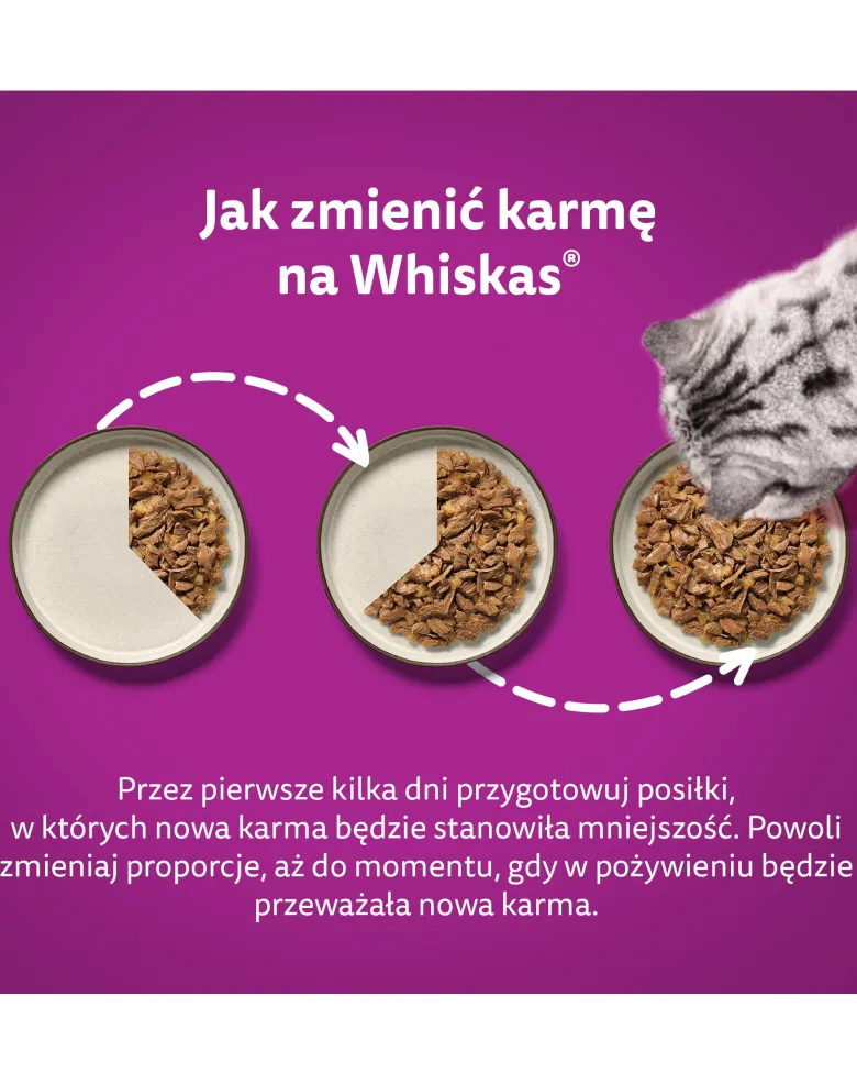 WHISKAS Adult in bustina 85g Alimento umido con manzo in salsa per gatti adulti