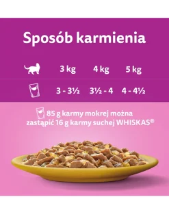 WHISKAS Adult in bustina 28x85g Alimento umido con pollo in gelatina per gatti adulti