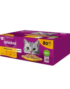 WHISKAS Adult sachet 80x85g Festa di Pollo umida cibo completo per gatti adulti in gelatina pezzi di pollo, anatra, pollame, tacchino